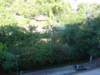 Photo Number 5