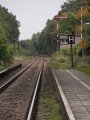 picture thumbnail