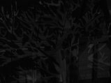 picture thumbnail
