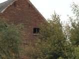 picture thumbnail